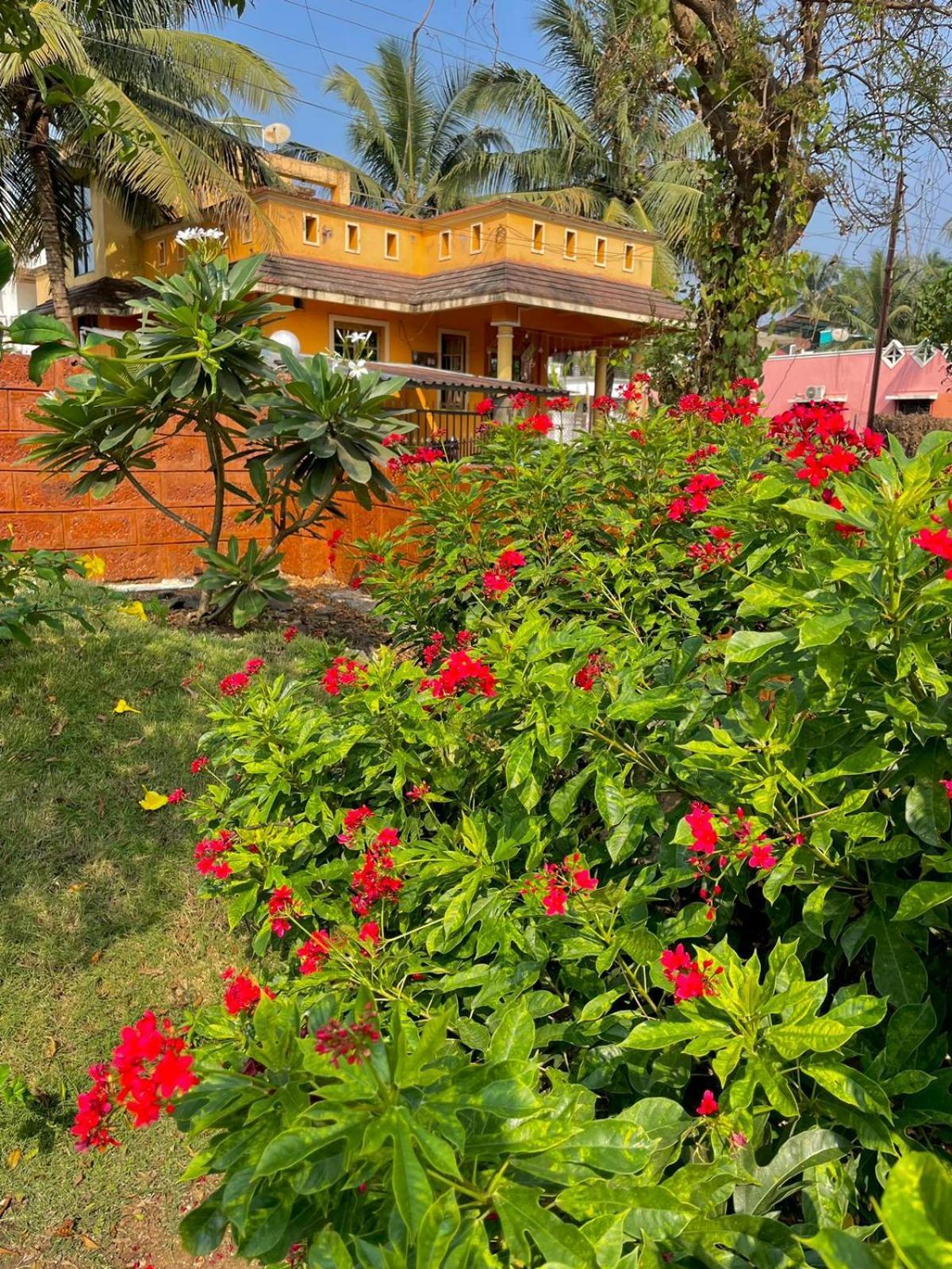 Scarlet Resort Alībāg Εξωτερικό φωτογραφία